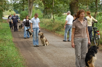 Straßenteil der Begleithundprüfung